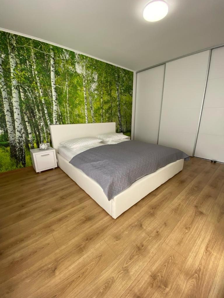 Apartament Nala Medgyes Kültér fotó
